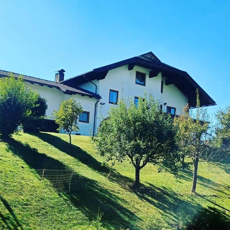 Ferienwohnung Schaller Feistritz an der Drau Exterior foto