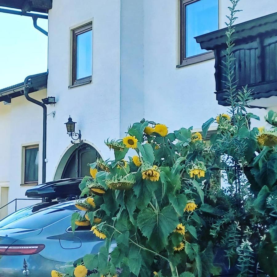 Ferienwohnung Schaller Feistritz an der Drau Exterior foto