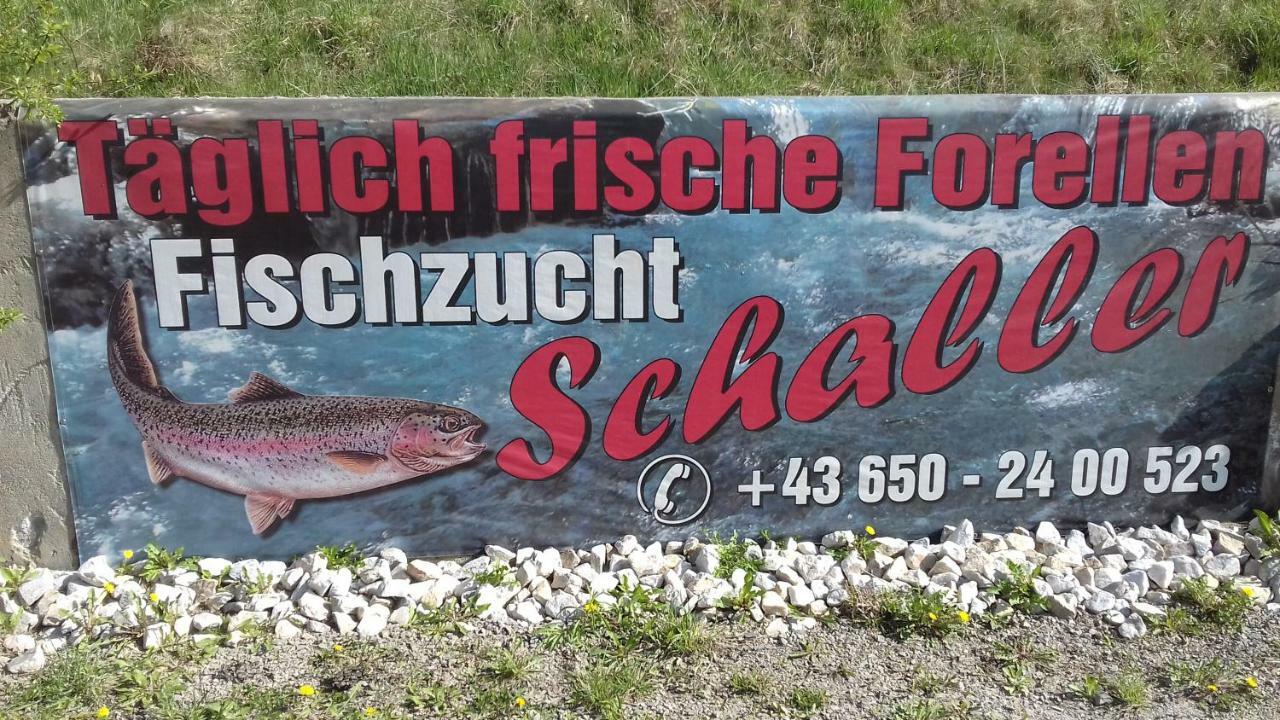 Ferienwohnung Schaller Feistritz an der Drau Exterior foto